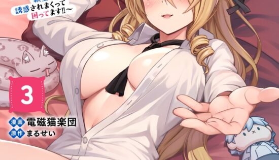 Hazure Skill Soine ga Kakuseishi, Boku ga Saikyou Harem wo Kizuku made Micchaku Soine de Ganbou Kaihou! Yuuwaku saremakutte Komattemasu!!