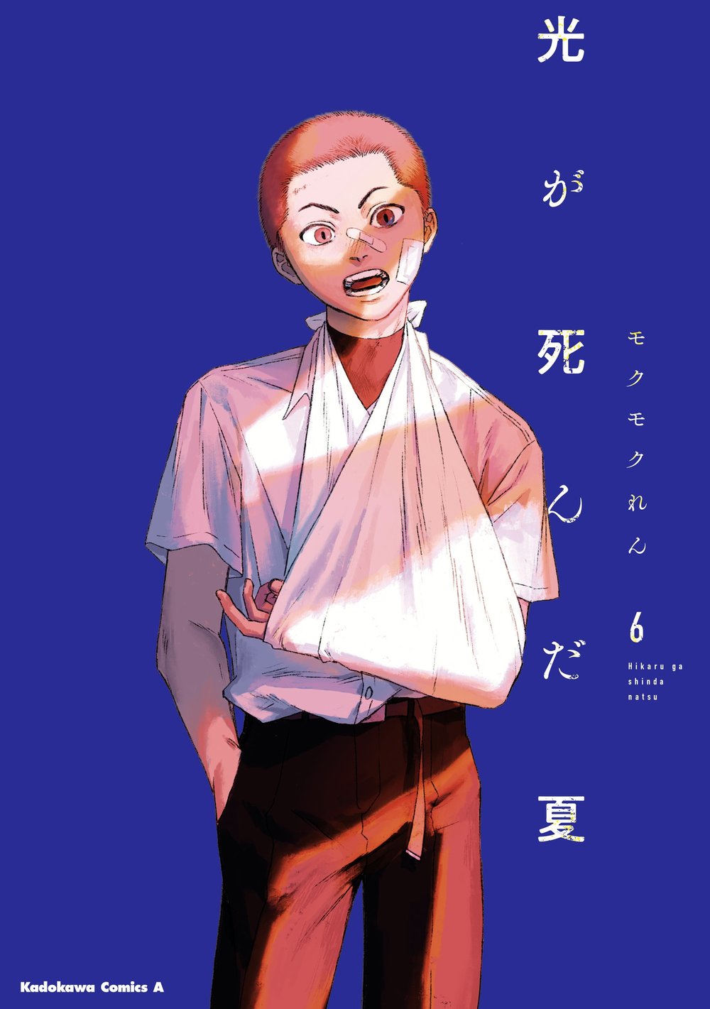 The Summer Hikaru Died