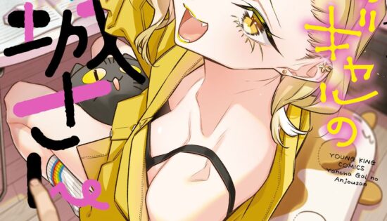 Yancha Gal no Anjou-san