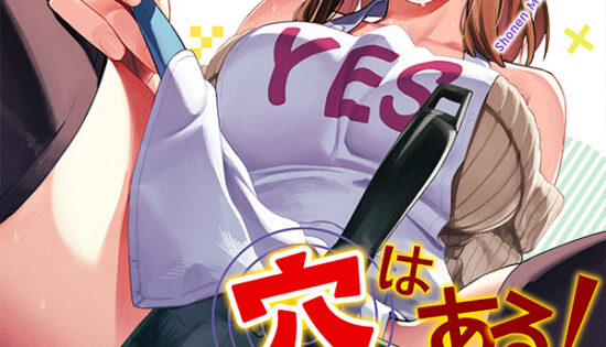 Seitokai ni mo Ana wa Aru! Manga